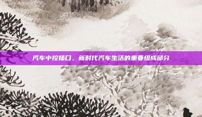 汽车中控插口，新时代汽车生活的重要组成部分