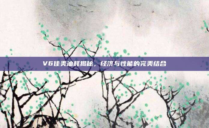 V6佳美油耗揭秘,经济与性能的完美结合