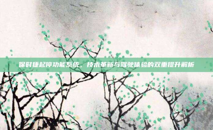 保时捷起停功能系统，技术革新与驾驶体验的双重提升解析