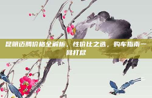 昆明迈腾价格全解析,性价比之选,购车指南一网打尽