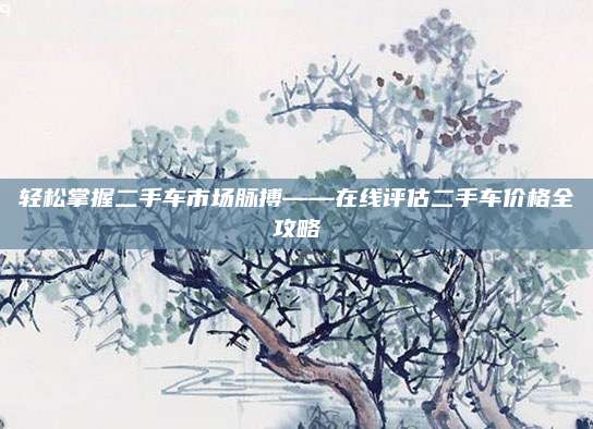 轻松掌握二手车市场脉搏——在线评估二手车价格全攻略
