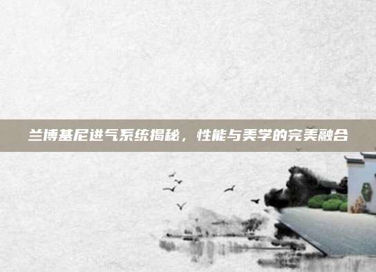兰博基尼进气系统揭秘,性能与美学的完美融合