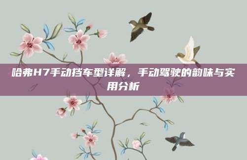 哈弗H7手动挡车型详解,手动驾驶的韵味与实用分析