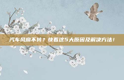 汽车风扇不转?快看这5大原因及解决方法!