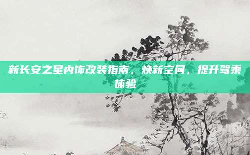 新长安之星内饰改装指南,焕新空间,提升驾乘体验