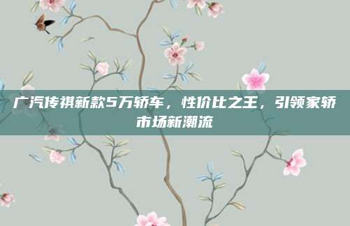 广汽传祺新款5万轿车,性价比之王,引领家轿市场新潮流
