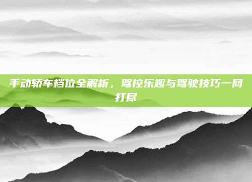 手动轿车档位全解析,驾控乐趣与驾驶技巧一网打尽