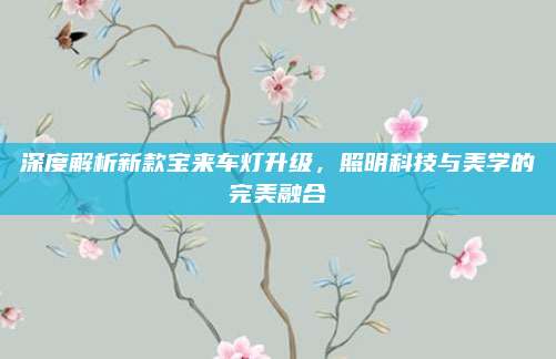 深度解析新款宝来车灯升级,照明科技与美学的完美融合