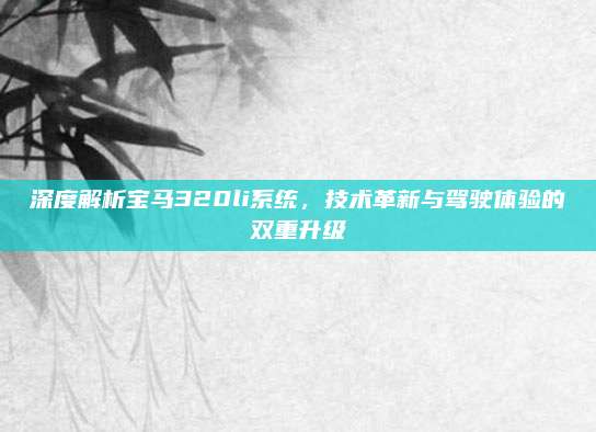深度解析宝马320li系统,技术革新与驾驶体验的双重升级