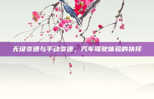 无级变速与手动变速,汽车驾驶体验的抉择