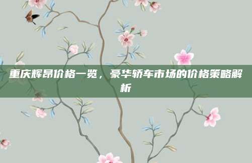重庆辉昂价格一览,豪华轿车市场的价格策略解析