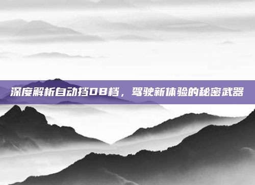 深度解析自动挡DB档,驾驶新体验的秘密武器