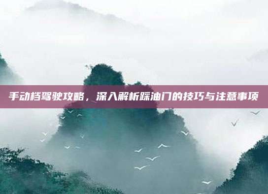 手动档驾驶攻略,深入解析踩油门的技巧与注意事项