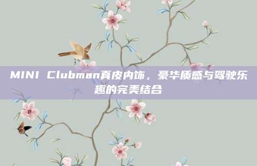 MINI Clubman真皮内饰,豪华质感与驾驶乐趣的完美结合