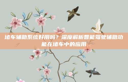 堵车辅助系统好用吗?深度解析智能驾驶辅助功能在堵车中的应用