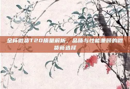 金杯微货T20质量解析,品质与性能兼顾的微货新选择