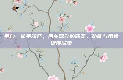 手自一体手动挡,汽车驾驶的新宠,功能与用途深度解析