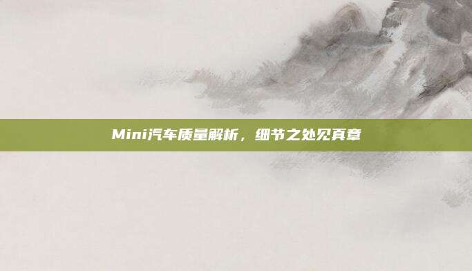 Mini汽车质量解析,细节之处见真章