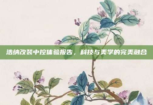 浩纳改装中控体验报告,科技与美学的完美融合