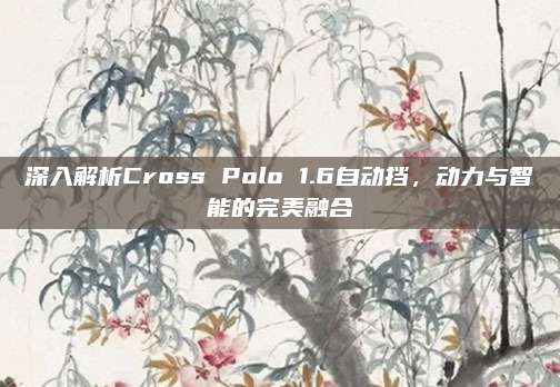 深入解析Cross Polo 1.6自动挡,动力与智能的完美融合
