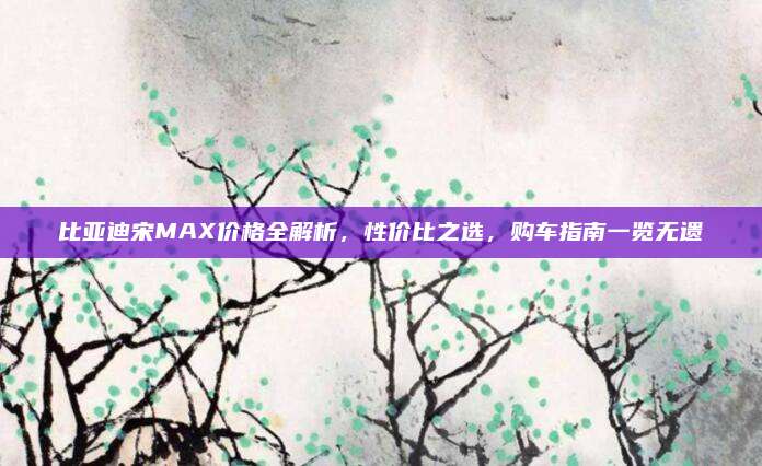 比亚迪宋MAX价格全解析,性价比之选,购车指南一览无遗
