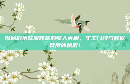 揭秘科沃兹油耗高的惊人真相,车主口碑与数据背后的秘密!