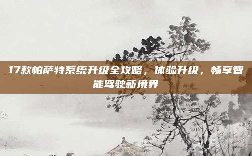 17款帕萨特系统升级全攻略,体验升级,畅享智能驾驶新境界