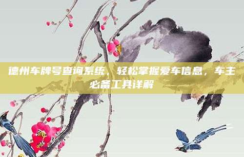 德州车牌号查询系统,轻松掌握爱车信息,车主必备工具详解