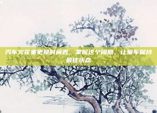 汽车火花塞更换时间表,掌握这个周期,让爱车保持最佳状态