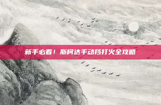 新手必看!斯柯达手动挡打火全攻略