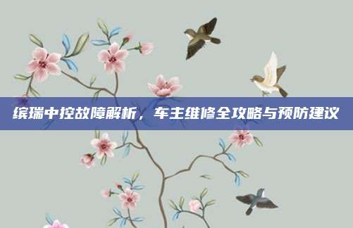 缤瑞中控故障解析,车主维修全攻略与预防建议