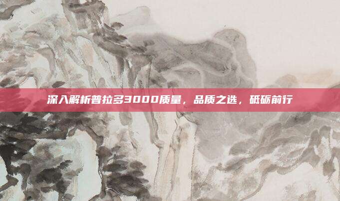 深入解析普拉多3000质量,品质之选,砥砺前行