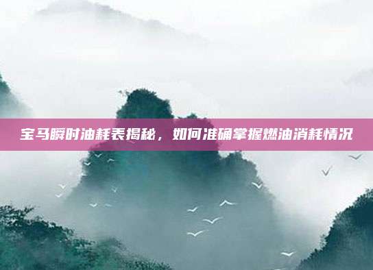 宝马瞬时油耗表揭秘,如何准确掌握燃油消耗情况