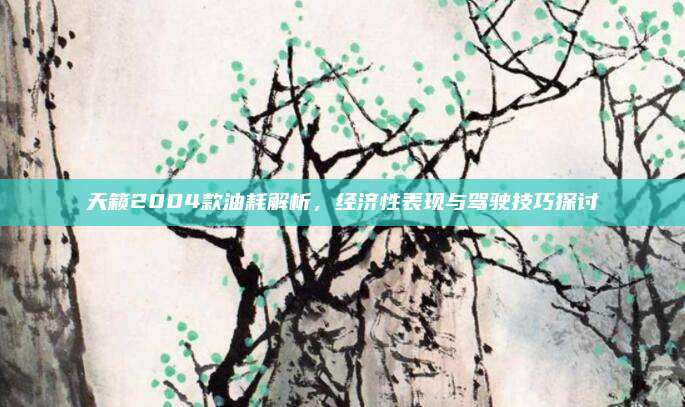 天籁2004款油耗解析,经济性表现与驾驶技巧探讨