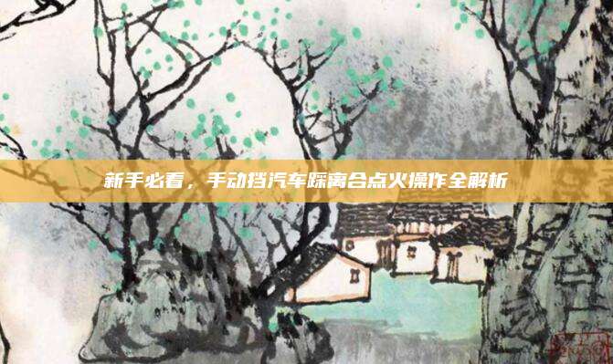 新手必看,手动挡汽车踩离合点火操作全解析