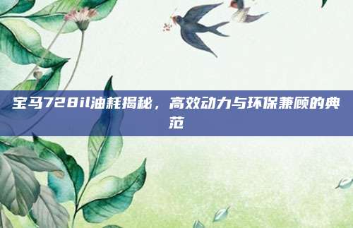 宝马728il油耗揭秘,高效动力与环保兼顾的典范