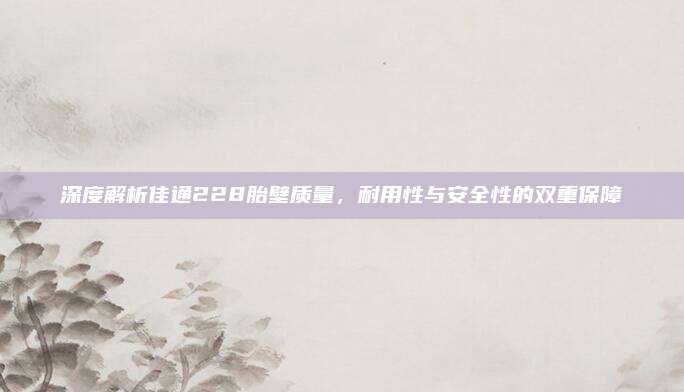 深度解析佳通228胎壁质量,耐用性与安全性的双重保障