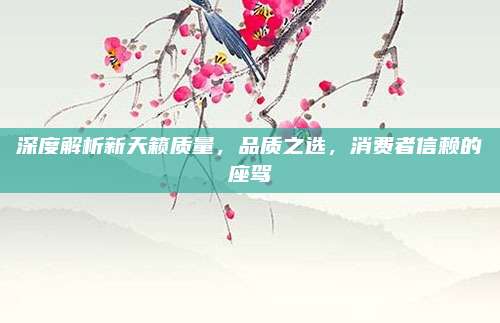 深度解析新天籁质量,品质之选,消费者信赖的座驾