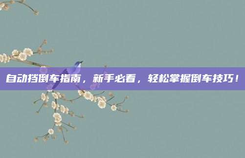 自动挡倒车指南,新手必看,轻松掌握倒车技巧!