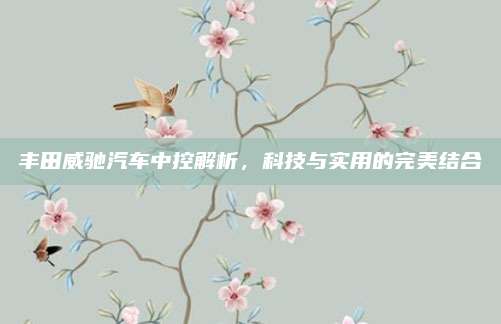 丰田威驰汽车中控解析,科技与实用的完美结合