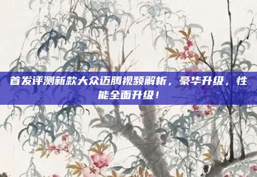 首发评测新款大众迈腾视频解析,豪华升级,性能全面升级!