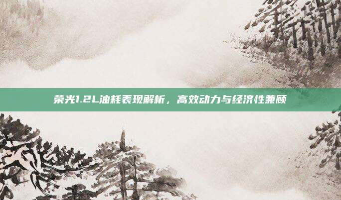 荣光1.2L油耗表现解析,高效动力与经济性兼顾
