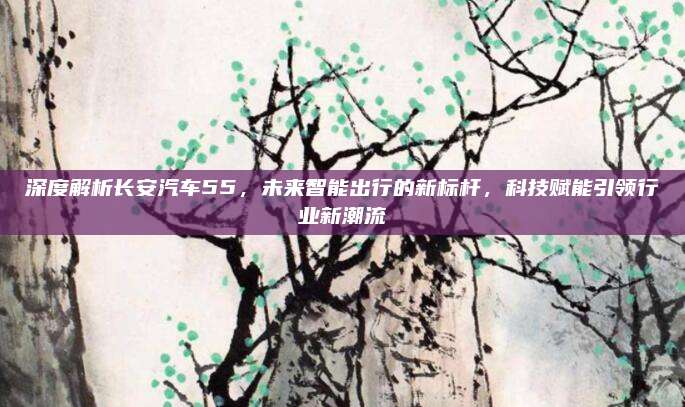 深度解析长安汽车55，未来智能出行的新标杆，科技赋能引领行业新潮流
