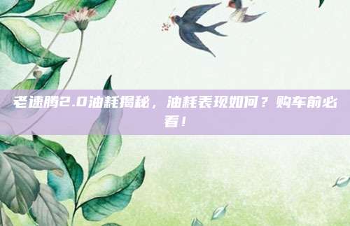 老速腾2.0油耗揭秘,油耗表现如何?购车前必看!