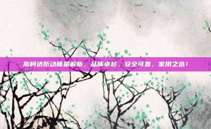 斯柯达昕动质量解析,品质卓越,安全可靠,家用之选!