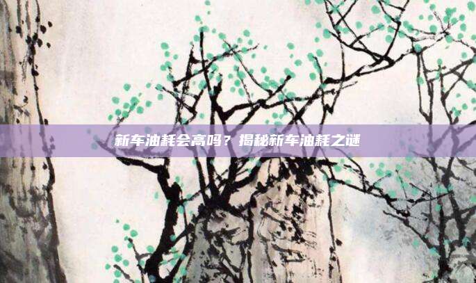 新车油耗会高吗?揭秘新车油耗之谜