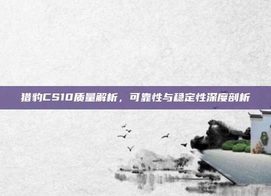 猎豹CS10质量解析,可靠性与稳定性深度剖析