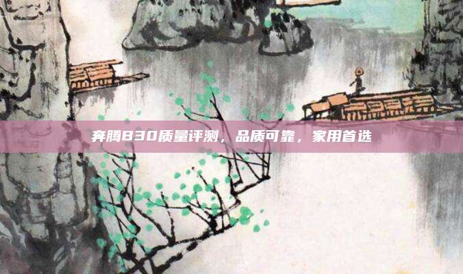 奔腾B30质量评测,品质可靠,家用首选