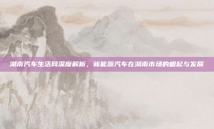 湖南汽车生活网深度解析,新能源汽车在湖南市场的崛起与发展
