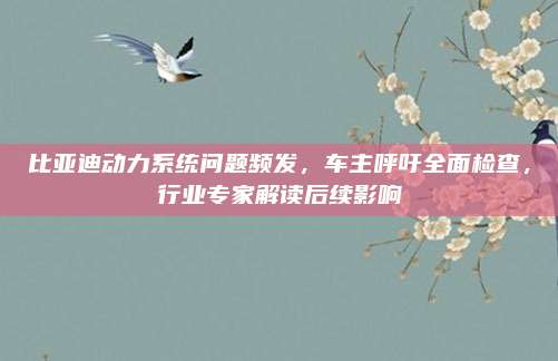 比亚迪动力系统问题频发,车主呼吁全面检查,行业专家解读后续影响